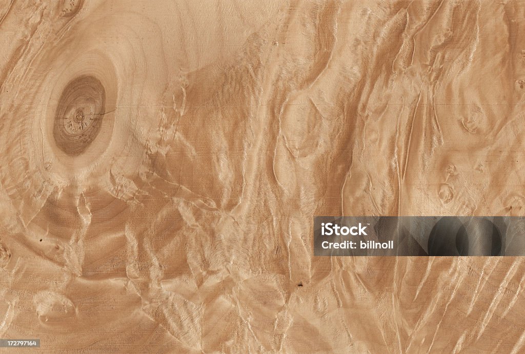 Natürliche maple Textur mit burl - Lizenzfrei Maserknolle Stock-Foto