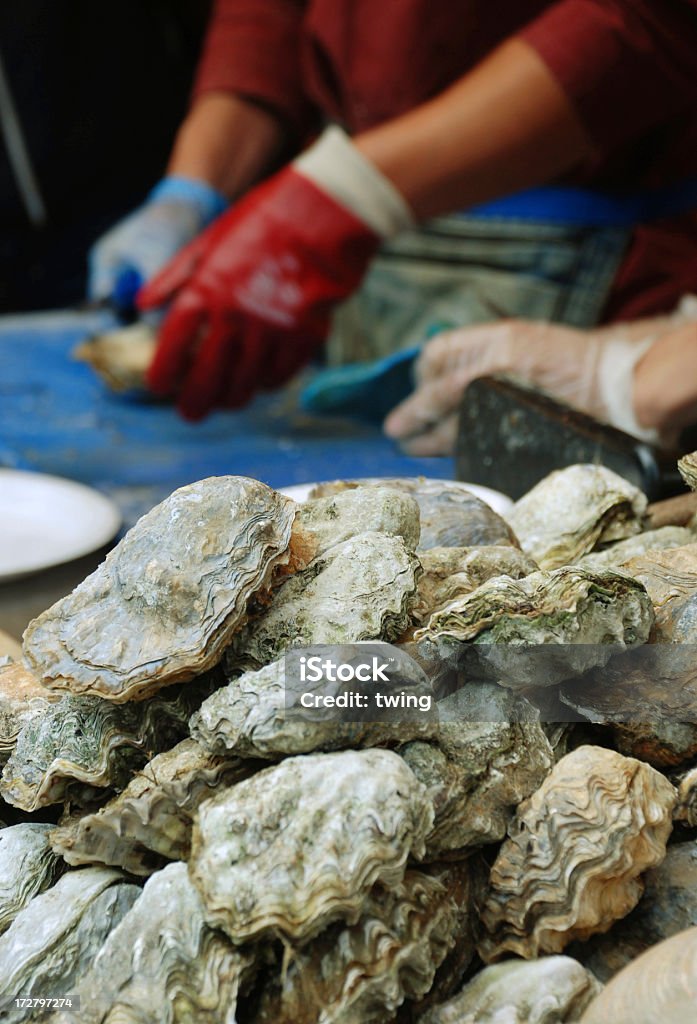 Opening Fresh oyster Opening pile of fresh oysters.  Focus on the stack of oysters in the foreground.  Shallow Dof at the background with waiters opening the shells.Nature soft daylight. Animal Shell Stock Photo