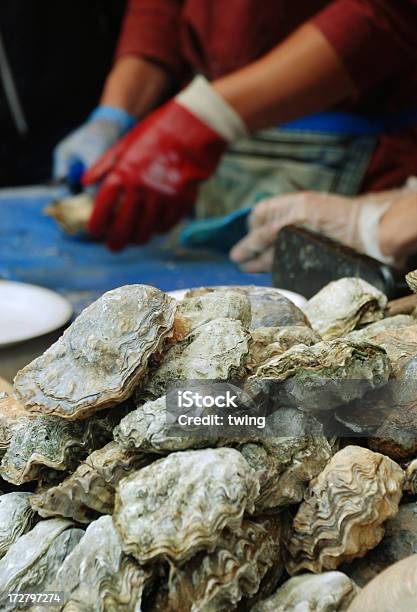 Opening Fresh Oyster Stock Photo - Download Image Now - Animal Shell, Appetizer, Breaking