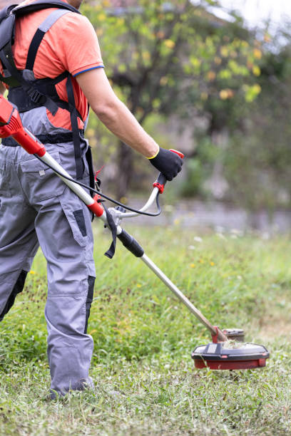 istock Man gardener mows the grass with a trimmer in nature. 1727978336
