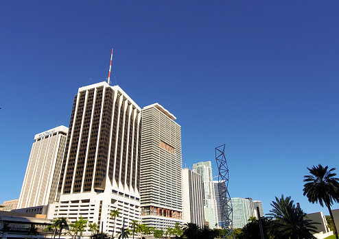 View of Downtown Miami Buildings with a Clear Sky