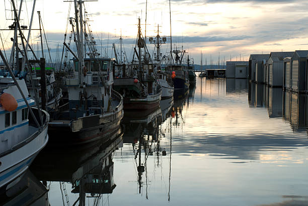 Frota de pesca ao pôr do sol - fotografia de stock