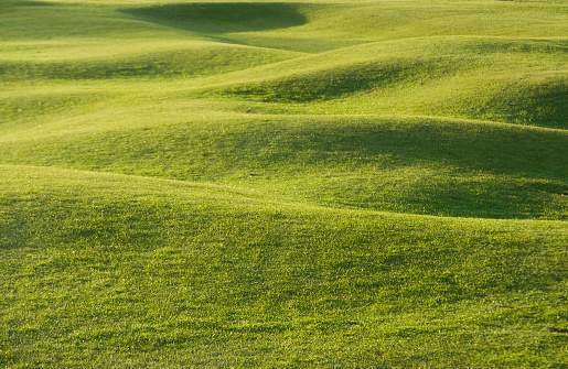 Beautiful green grass on a fairway in the setting sun.  See similar images in my golf series.
