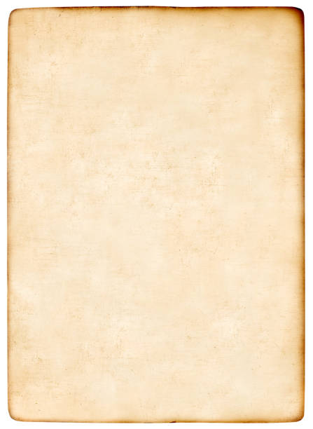 istock Anique paper in XL 172798678