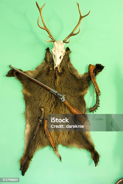 Troféus De Conduta - Fotografias de stock e mais imagens de Animal - Animal, Antiguidade, Arma de Fogo