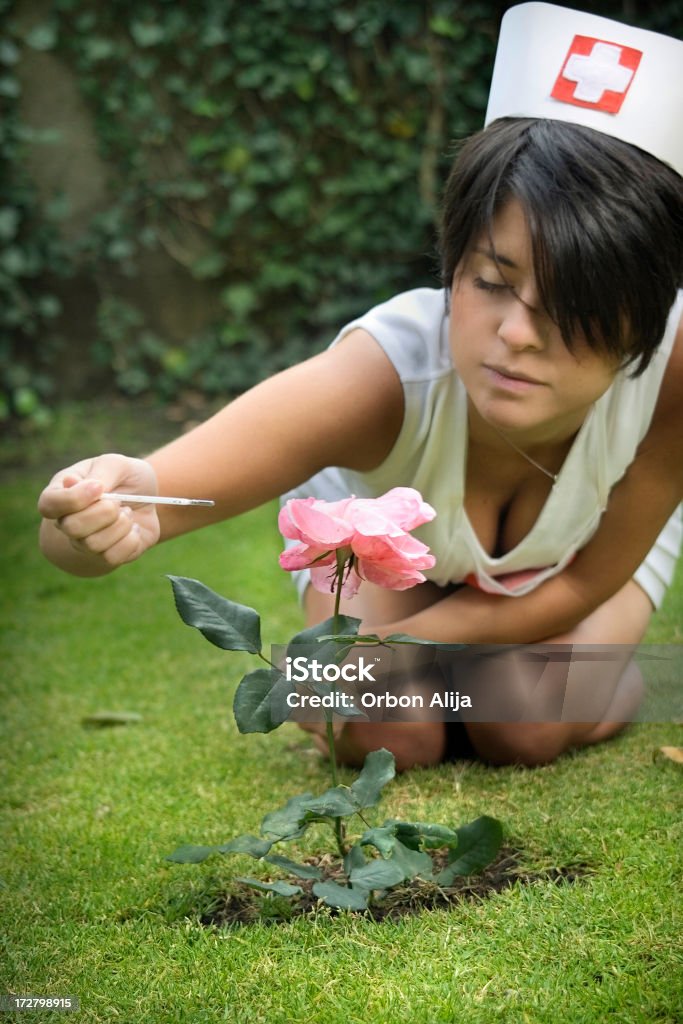 Temperatura de - Foto de stock de Flora libre de derechos