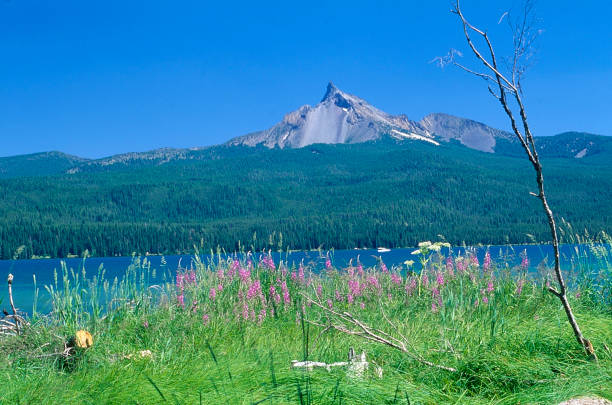 istock Mount. Thielsen, Diamond Lake, Deschutes National Forest, Oregon 1727990281