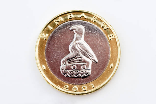 Zimbabwe Five Dollar Coin stock photo