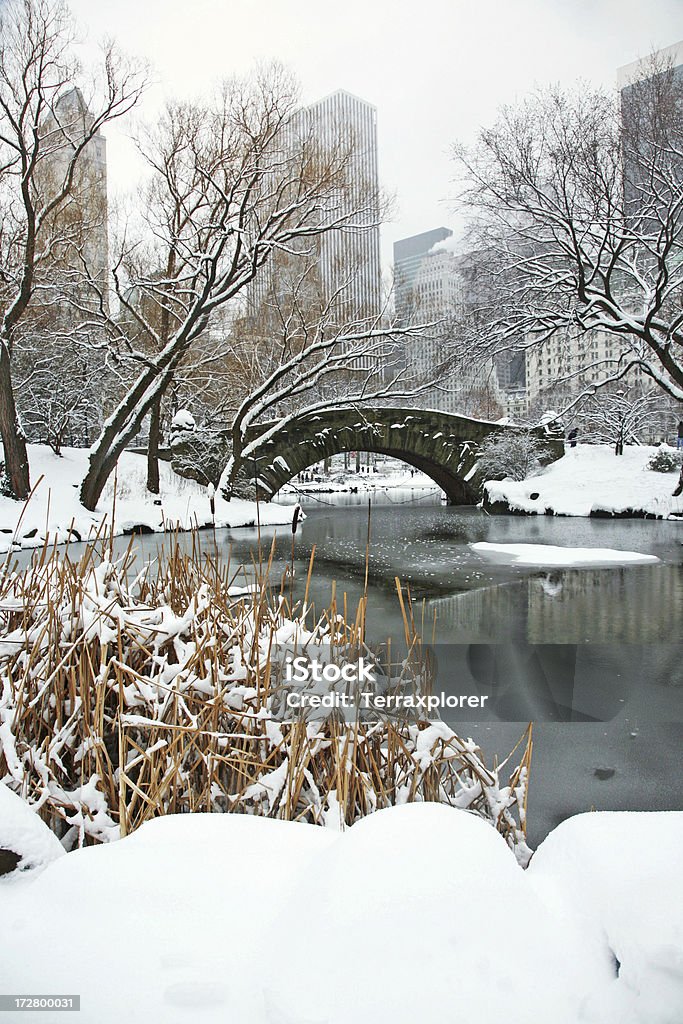 Stone Bridge Over congelado estanque - Foto de stock de Ciudad de Nueva York libre de derechos