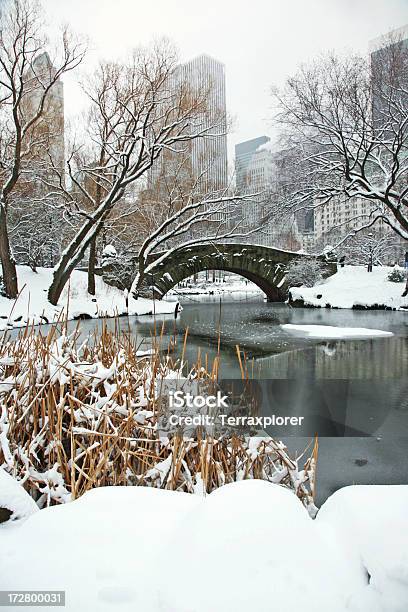 Stone Bridge Over Congelado Estanque Foto de stock y más banco de imágenes de Ciudad de Nueva York - Ciudad de Nueva York, Árbol, Central Park - Manhattan