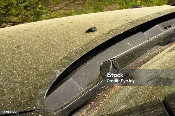 Estacionamiento Cubierto De Polen Foto de stock y más banco de imágenes de Coche - Coche, Polen, Aire libre