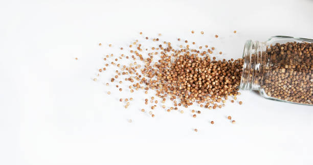 istock coriander, coriandrum sativum, seeds falling against White Background 1728003430