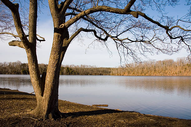 istock Winter at Green Lane Reservior 172800542