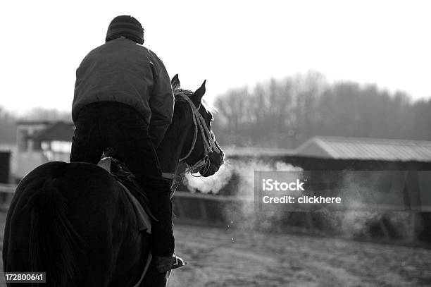 Racehorse Training On Track Stock Photo - Download Image Now - Racehorse, Thoroughbred Horse, Animal