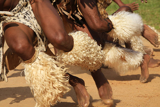 zulu guerreiros dança - zulu african descent africa dancing imagens e fotografias de stock