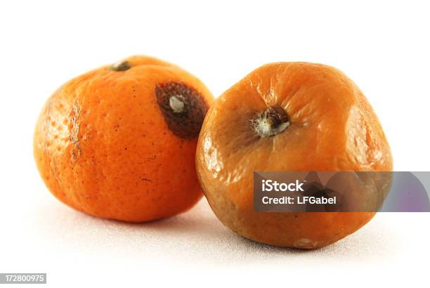 Rotten ミニマンダリンオレンジ - 果物のストックフォトや画像を多数ご用意 - 果物, 腐敗, カットアウト