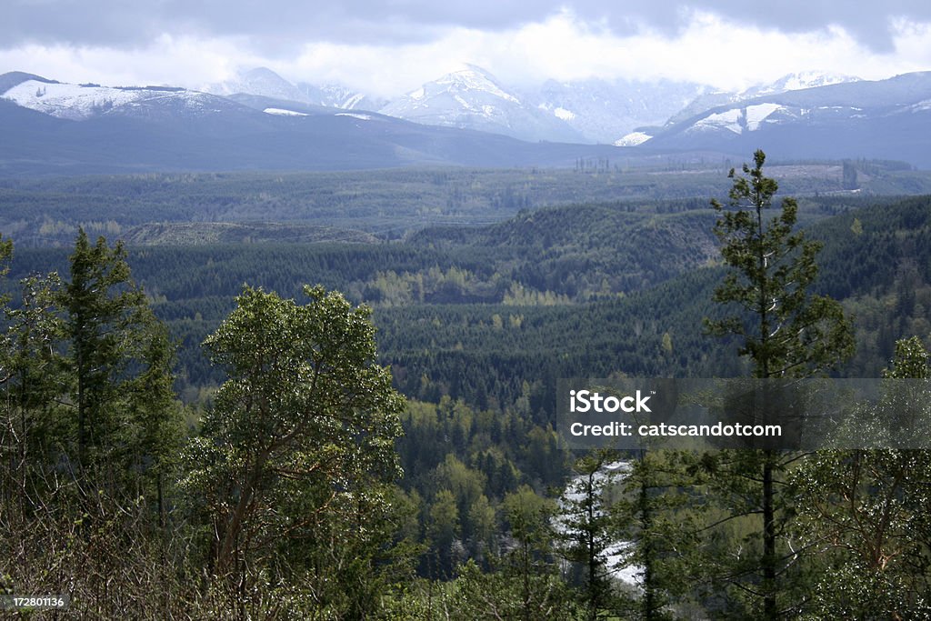 Turva Vista da Montanha pico Enumclaw Washington - Royalty-free Enumclaw Foto de stock