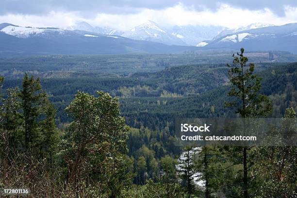 Turva Vista Da Montanha Pico Enumclaw Washington - Fotografias de stock e mais imagens de Enumclaw - Enumclaw, Estado de Washington, Ponto de Observação