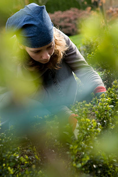 istock Young woman is gardeing in the early spring 172801896