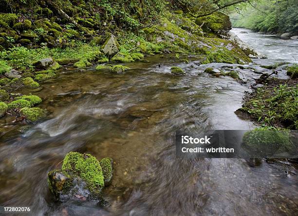 Sussurrare Flusso - Fotografie stock e altre immagini di Acqua - Acqua, Acqua fluente, Ambientazione tranquilla