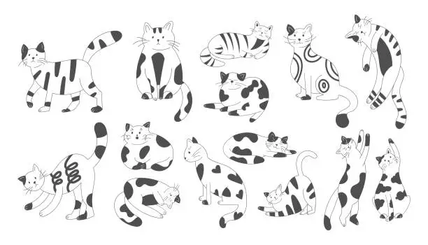 Vector illustration of Cute kitty group, doodle drawing black and white cats. Funny hand drawn pet in different poses, smile and fur characters, feline, animal sketch stickers collection. Vector garish cartoon set