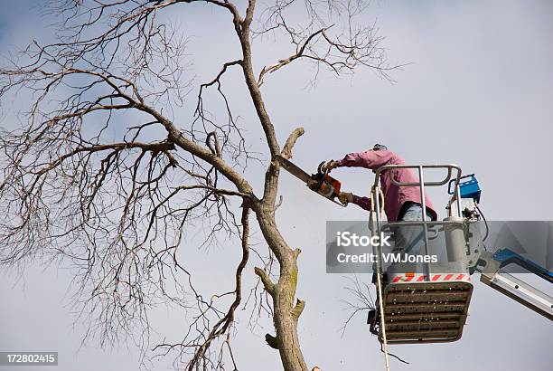 Rifilare Alberi Con Motosega - Fotografie stock e altre immagini di Albero - Albero, Rimuovere, Arborista