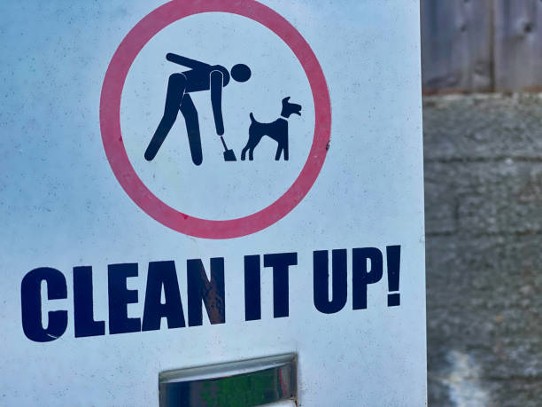 istock Clean it up dog mess sign 1728026272