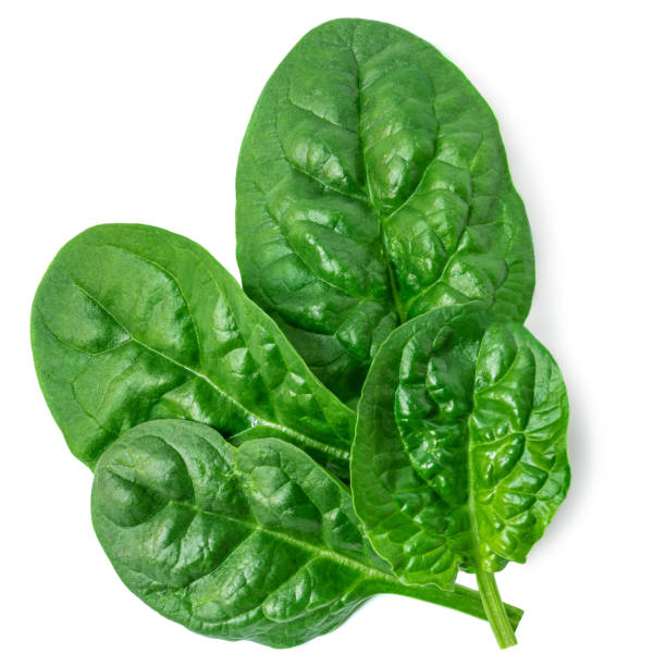 istock Fresh green leaves of Spinach leafy vegetable isolated on white background. Spinach Macro. Top view. Flat lay. 1728030069