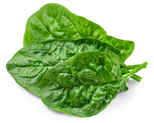 istock Fresh green leaves of Spinach leafy vegetable isolated on white background. Spinach Macro. Top view. Flat lay. 1728030078