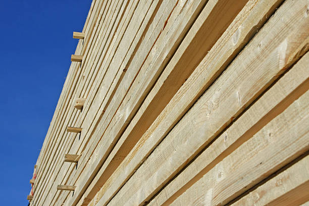 istock Pile of wood # 12 172803157