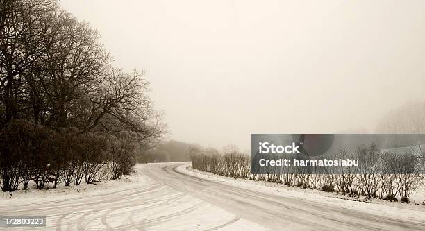 Crossroads 겨울에 대한 스톡 사진 및 기타 이미지 - 겨울, 겨울나무, 고대의