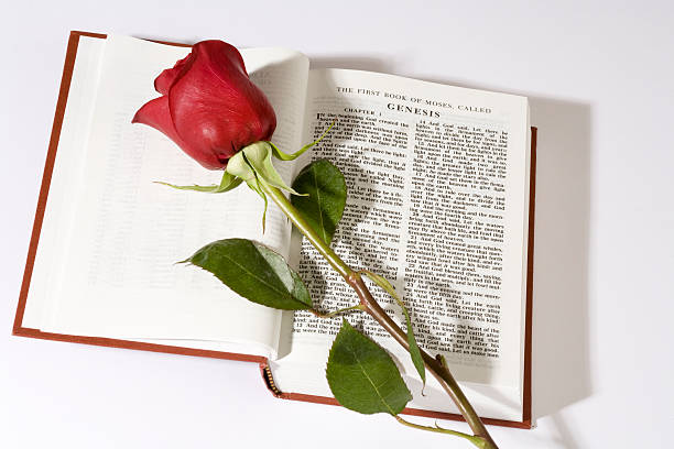 istock Book of Genesis and rose 172803426