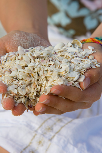 Girl shows fragments of sea shells. The beaches of Sanibel Island are partly covered with sea shells and their fragments instead of sand. Florida, USA. Adobe RGB