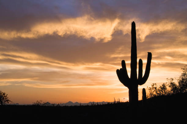 istock Dramatic Sky over Southwestern Desert at Sunset 172803665