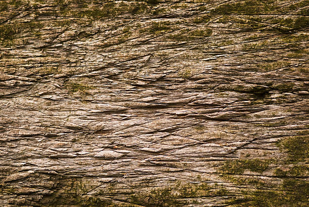 Slashed Background Pattern 20+ Wood Slashed Stock Photos, Pictures & Royalty-Free Images - iStock