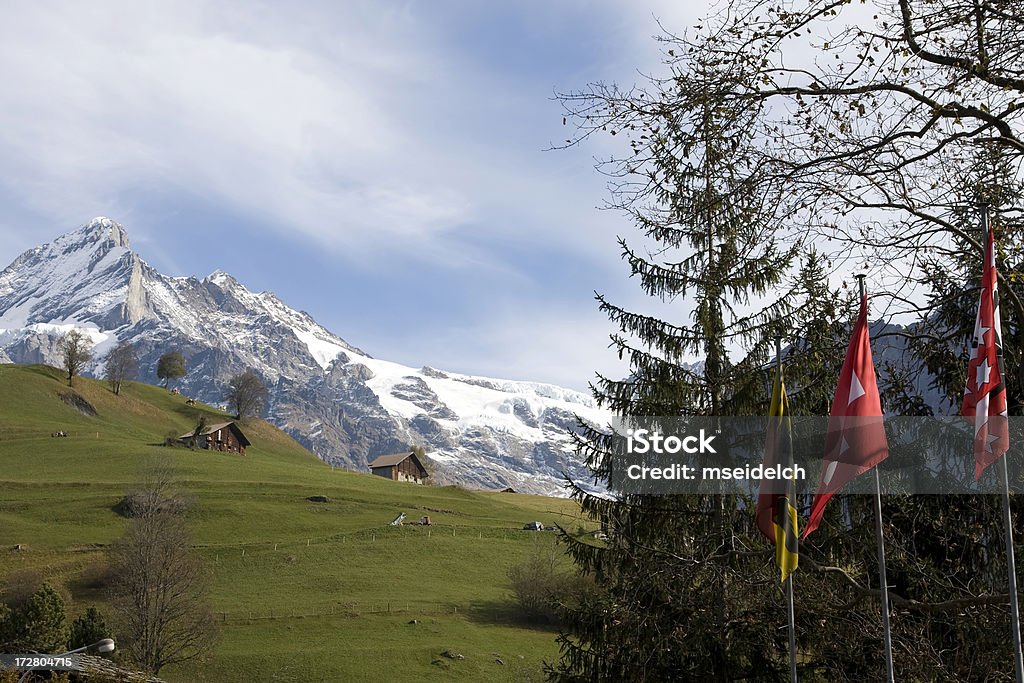 Alpy szwajcarskie - Zbiór zdjęć royalty-free (Alpy)