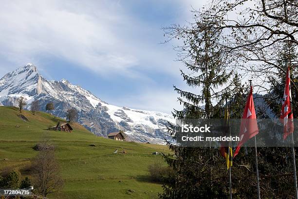 Alpy Szwajcarskie - zdjęcia stockowe i więcej obrazów Alpy - Alpy, Alpy Szwajcarskie, Bez ludzi