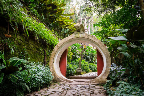 istock Garden in Xilitla 1728049417