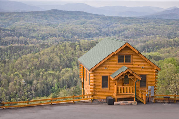 Log Cabin affacciato sul bordo - foto stock