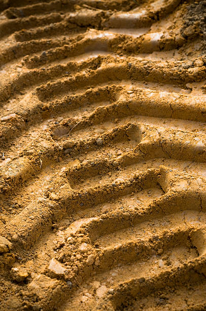 istock Heavy Machinery Track in Mud 172805353