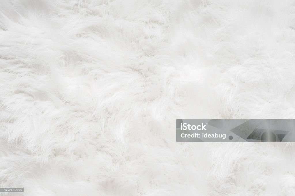 Soft, Fluffy Background "This soft, fluffy rug makes a wonderful, elegant background." Fur Stock Photo