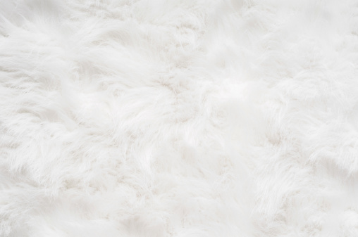 Soft Fluffy Background Stock Photo - Download Image Now - Fur, White Color,  Rug - iStock