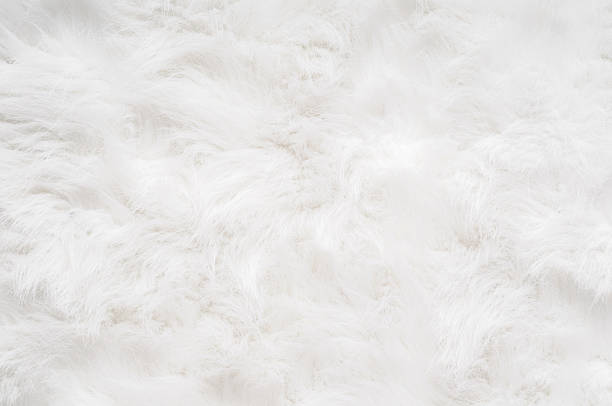 Soft Fluffy Background Stock Photo - Download Image Now - Fur, White Color,  Rug - iStock