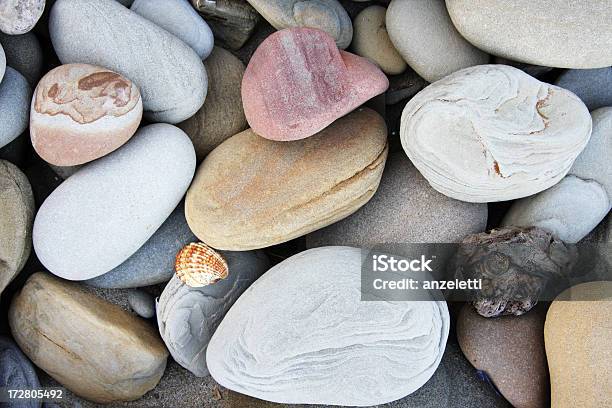 Erodido Praia Pedras - Fotografias de stock e mais imagens de Areia - Areia, Cinzento, Concha - Parte do corpo animal