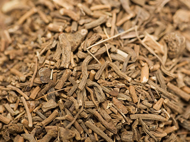 dried valerian root stock photo