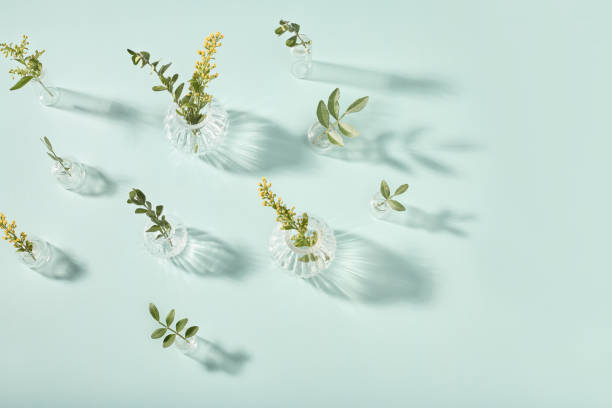 istock glass transparent vases and fresh flowers 1728056703