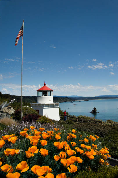 istock Trinidad Memorial Lighthouse 172805731