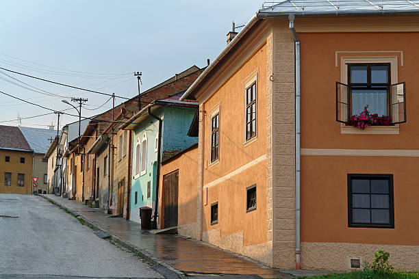 istock Levoca Town in Slovakia 172805876