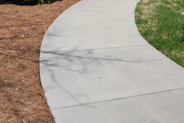 istock Wide curved concrete sidewalk with green grass and pine straw, sweeping journey pathway to new experiences, creative copy space, horizontal aspect 1728061219