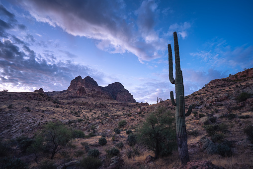 Saguaros and clouds punctuate a view of Picketpost Mountain before sunrise